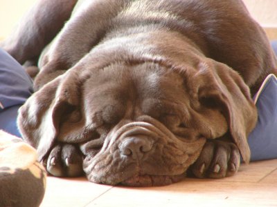 Lena im neuen Zuhause