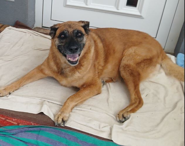 Kaja