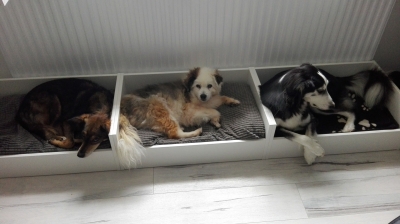 Feli, Richie und Lara