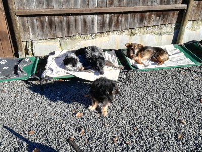 Elliot, Feli und Jamie