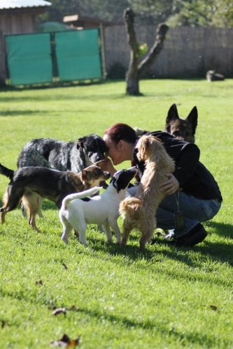 Besuch Kathi, Tina und Claudia