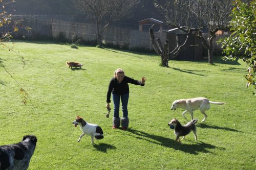Besuch Kathi, Tina und Claudia