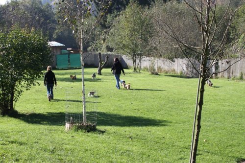 Besuch Kathi, Tina und Claudia