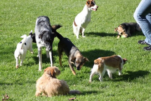 Besuch Kathi, Tina und Claudia