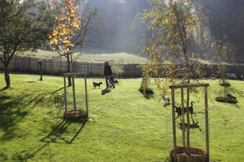 Besuch Kathi, Tina und Claudia