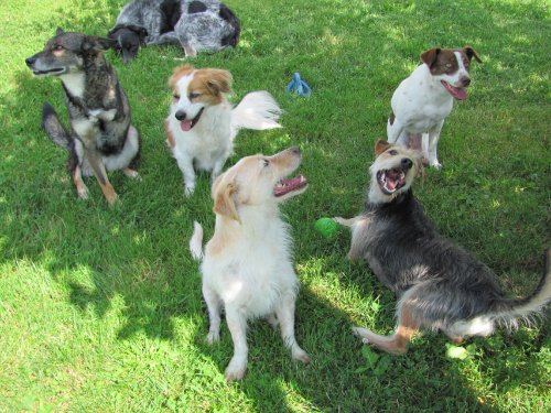 Fotoshooting am 27.6.2012