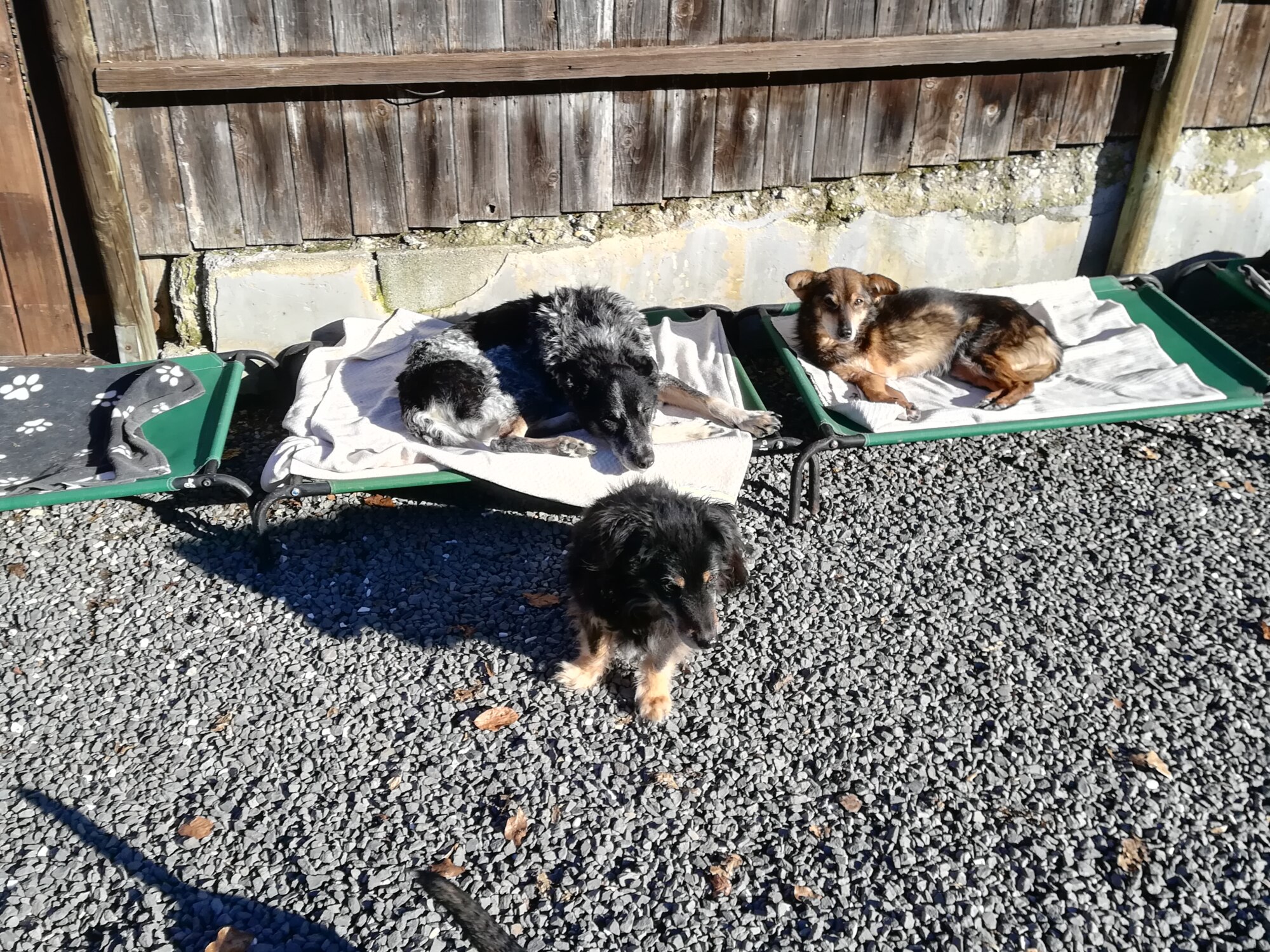 Elliot, Feli und Jamie