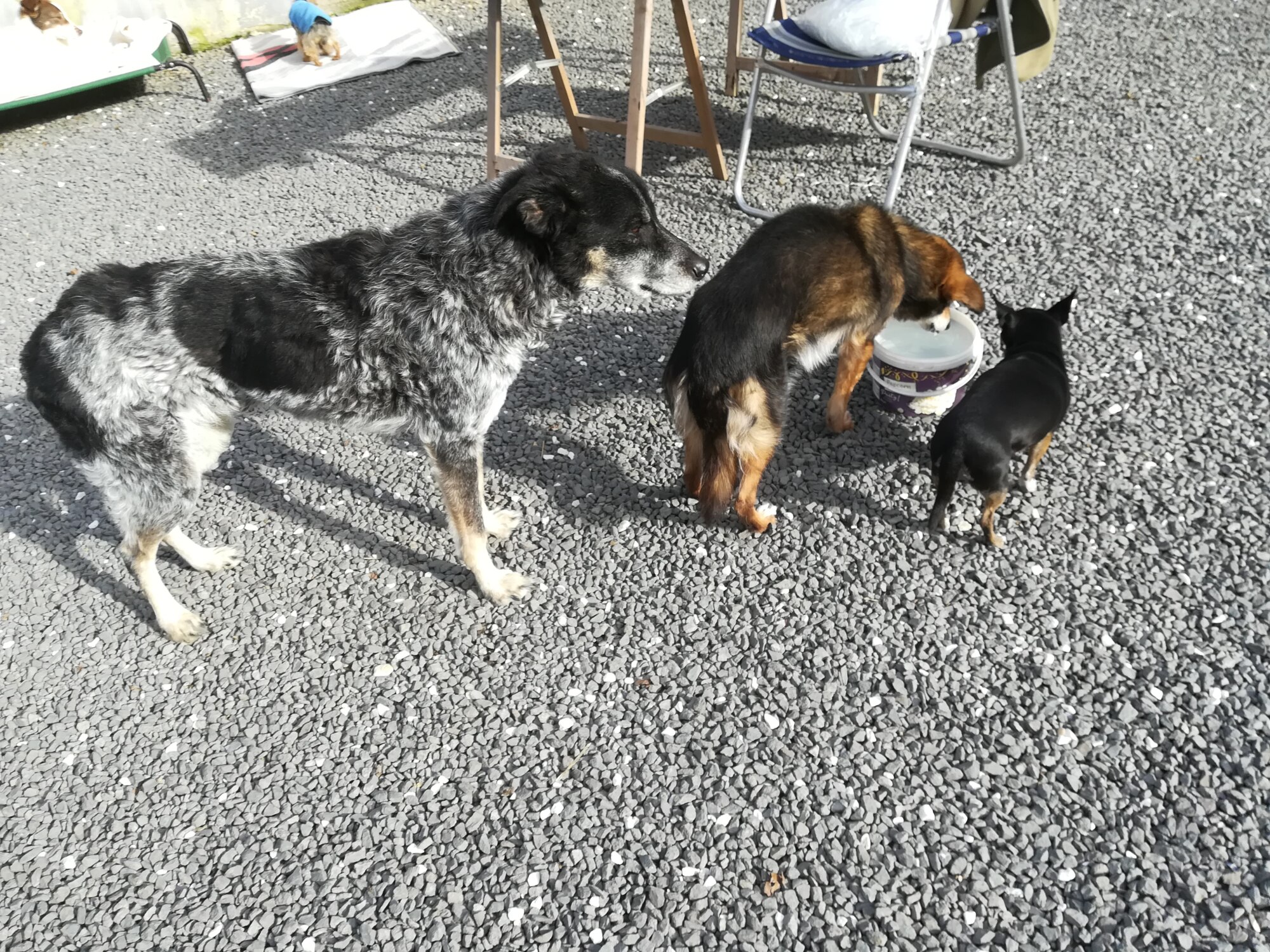 Das Wasserloch ist sehr begehrt