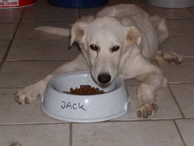 Jack